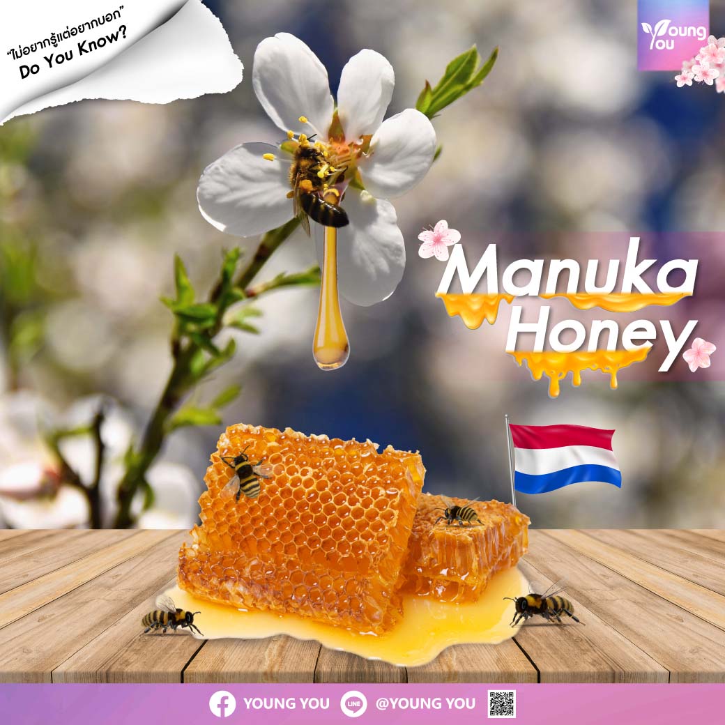 Manuka Honey น้ำผึ้งมานูก้า