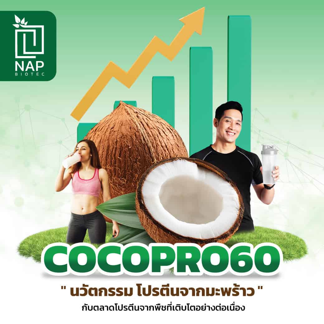 <strong>COCOPRO60 นวัตกรรมโปรตีนจากมะพร้าว กับตลาดโปรตีนจากพืชที่เติบโตอย่างต่อเนื่อง</strong>